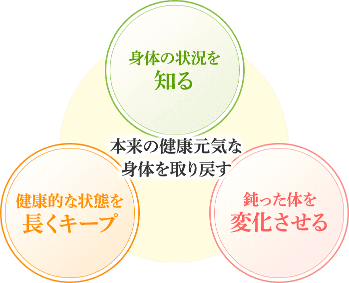 本来の健康元気な身体を取り戻す